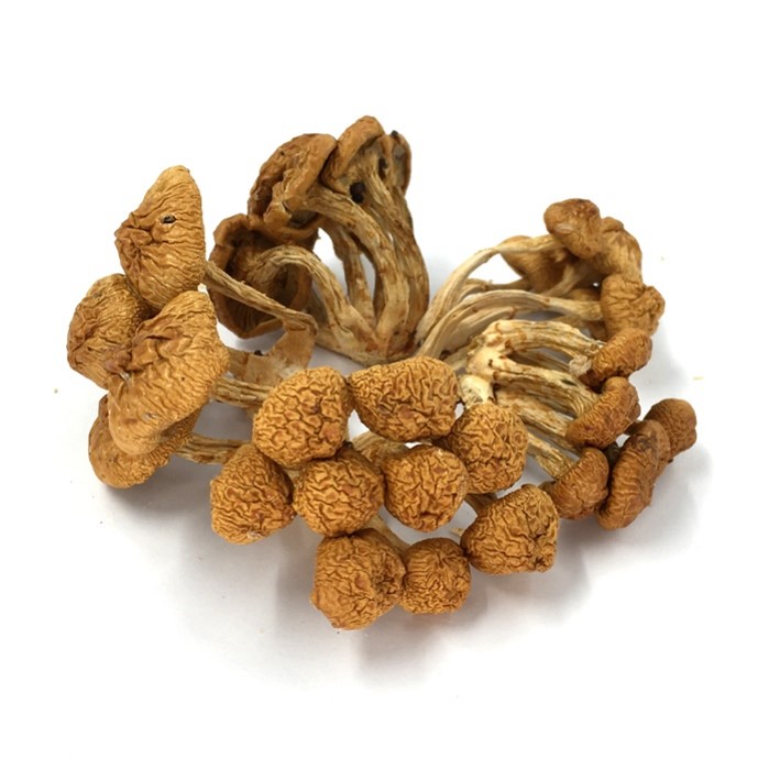 Dried nameko mushroom.jpg